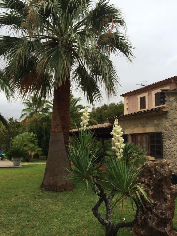 פוינסה Jardi De Papallones מראה חיצוני תמונה